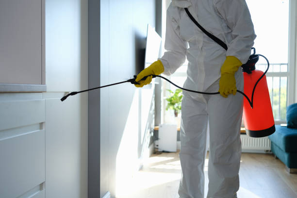 Best DIY Mold Remediation Support Services in Benwood, WV