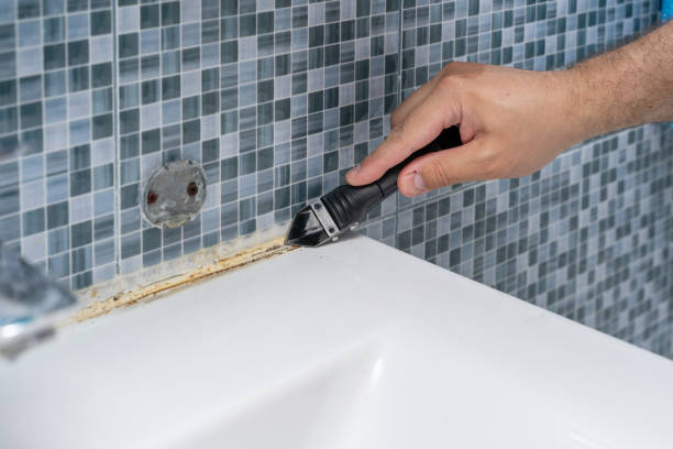 Best Black Mold Remediation in Benwood, WV
