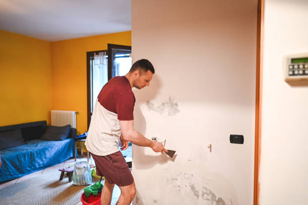Best Insurance-Related Mold Remediation in Benwood, WV